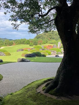 足立美術館に投稿された画像（2025/11/1）