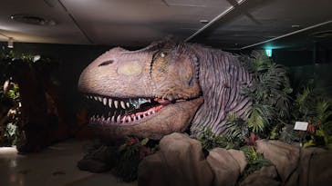 海洋堂ホビーランドに投稿された画像（2025/11/1）