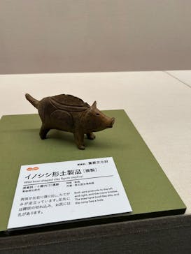 特別展　世界遺産　縄文に投稿された画像（2025/11/1）