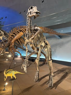 福井県立恐竜博物館に投稿された画像（2025/11/1）