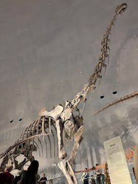 福井県立恐竜博物館に投稿された画像（2025/11/1）