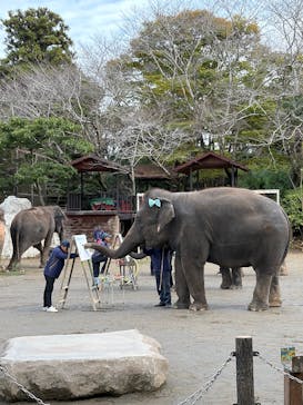ANIMAL WONDER REZOURT 市原ぞうの国・サユリワールドに投稿された画像（2025/11/1）