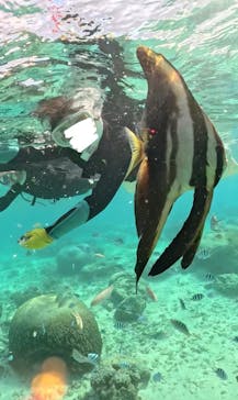 武藤潜水に投稿された画像（2025/11/1）