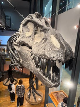 福井県立恐竜博物館に投稿された画像（2025/11/1）