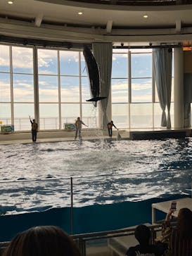 アクアワールド茨城県大洗水族館に投稿された画像（2025/11/1）