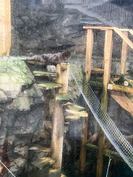 アクアワールド茨城県大洗水族館に投稿された画像（2025/11/1）