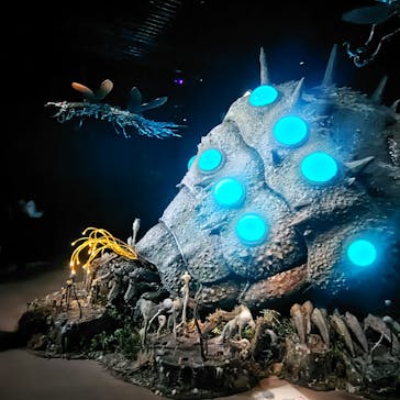 金曜ロードショーとジブリ展（静岡展）に投稿された画像（2025/11/1）