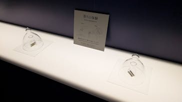 正倉院 THE SHOW ―感じる。いま、ここにある奇跡―　@上野の森美術館に投稿された画像（2025/11/1）