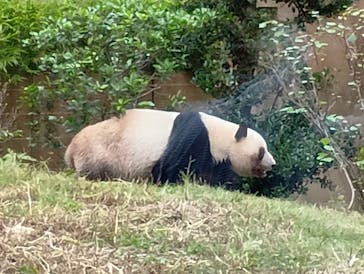 恩賜上野動物園に投稿された画像（2025/11/1）