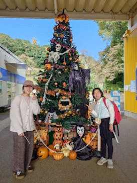 日本モンキーパークに投稿された画像（2025/11/1）