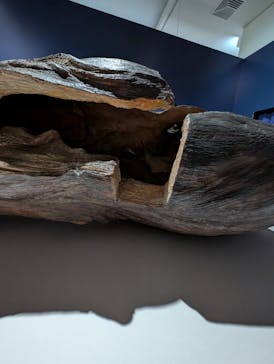 正倉院 THE SHOW ―感じる。いま、ここにある奇跡―　@上野の森美術館に投稿された画像（2025/11/1）