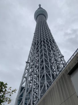 東京スカイツリーに投稿された画像（2025/11/1）