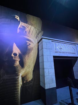 ACN ラムセス大王展 ファラオたちの黄金に投稿された画像（2025/11/1）