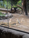 恩賜上野動物園に投稿された画像（2025/11/1）