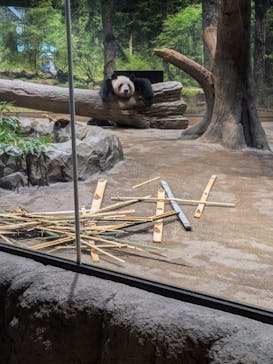 恩賜上野動物園に投稿された画像（2025/11/1）