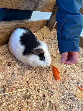 まかいの牧場に投稿された画像（2025/11/1）