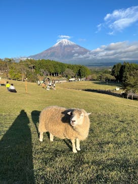 まかいの牧場に投稿された画像（2025/11/1）