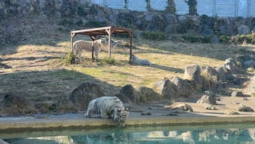 伊豆アニマルキングダムに投稿された画像（2025/11/1）