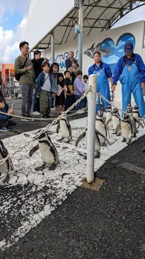 越前松島水族館に投稿された画像（2025/11/1）