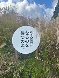 自然体感展望台 六甲枝垂れに投稿された画像（2025/11/1）