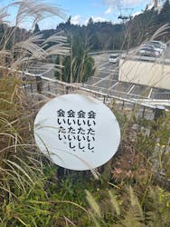 自然体感展望台 六甲枝垂れに投稿された画像（2025/11/1）