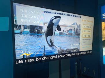 名古屋港水族館に投稿された画像（2025/11/1）