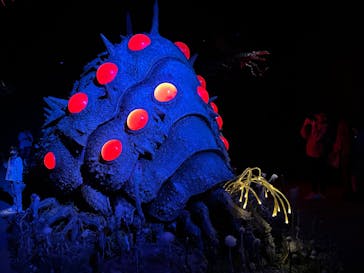 金曜ロードショーとジブリ展（静岡展）に投稿された画像（2025/11/1）