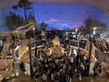 福井県立恐竜博物館に投稿された画像（2025/11/1）