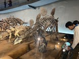 福井県立恐竜博物館に投稿された画像（2025/11/1）