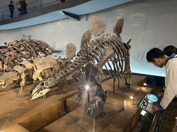 福井県立恐竜博物館に投稿された画像（2025/11/1）