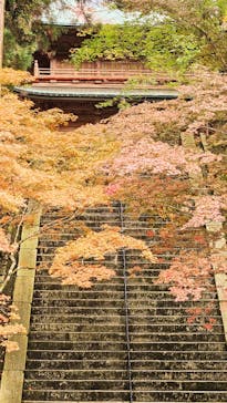 延暦寺に投稿された画像（2025/11/1）