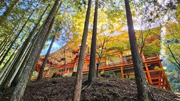 延暦寺に投稿された画像（2025/11/1）