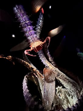 金曜ロードショーとジブリ展（静岡展）に投稿された画像（2025/11/1）