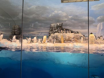 名古屋港水族館に投稿された画像（2025/11/1）