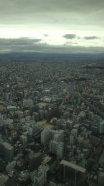 ハルカス300(展望台)に投稿された画像（2025/11/1）