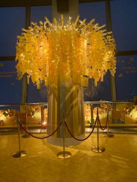 東京スカイツリーに投稿された画像（2025/11/1）