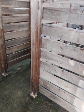 恵那峡ワンダーランドに投稿された画像（2025/11/1）