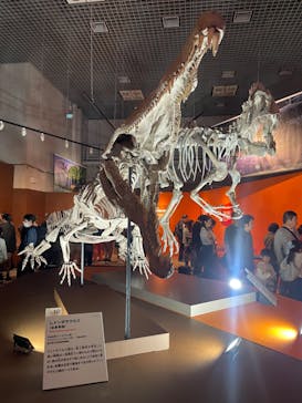 国立科学博物館に投稿された画像（2025/11/1）