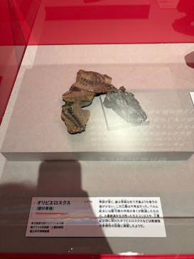 特別展「大絶滅展―生命史のビッグファイブ」に投稿された画像（2025/11/1）