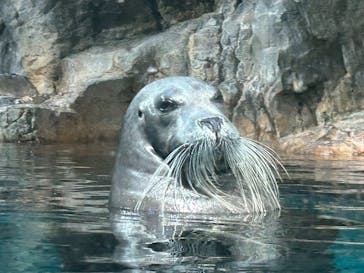 大分マリーンパレス水族館 「うみたまご」に投稿された画像（2025/11/1）
