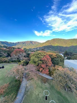 彫刻の森美術館に投稿された画像（2025/11/1）