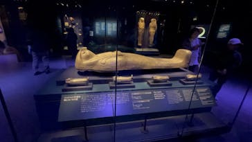 ACN ラムセス大王展 ファラオたちの黄金に投稿された画像（2025/11/1）