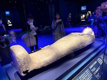 ACN ラムセス大王展 ファラオたちの黄金に投稿された画像（2025/11/1）