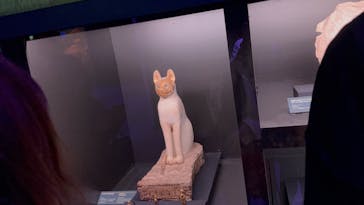 ACN ラムセス大王展 ファラオたちの黄金に投稿された画像（2025/11/1）