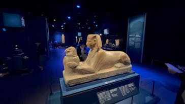 ACN ラムセス大王展 ファラオたちの黄金に投稿された画像（2025/11/1）