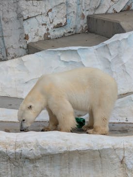 恩賜上野動物園に投稿された画像（2025/11/1）