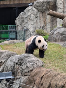 恩賜上野動物園に投稿された画像（2025/11/1）