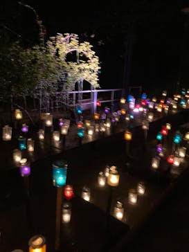 江の島シーキャンドルに投稿された画像（2025/11/1）