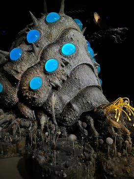 金曜ロードショーとジブリ展（静岡展）に投稿された画像（2025/11/1）