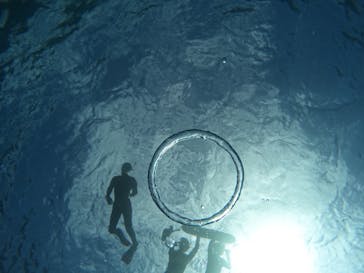  マリンショップHAPPYに投稿された画像（2025/11/1）